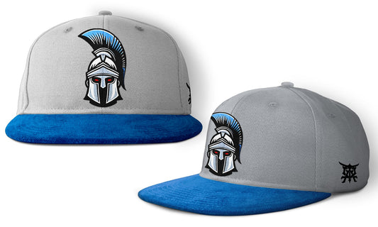 Titans - Snapbacks