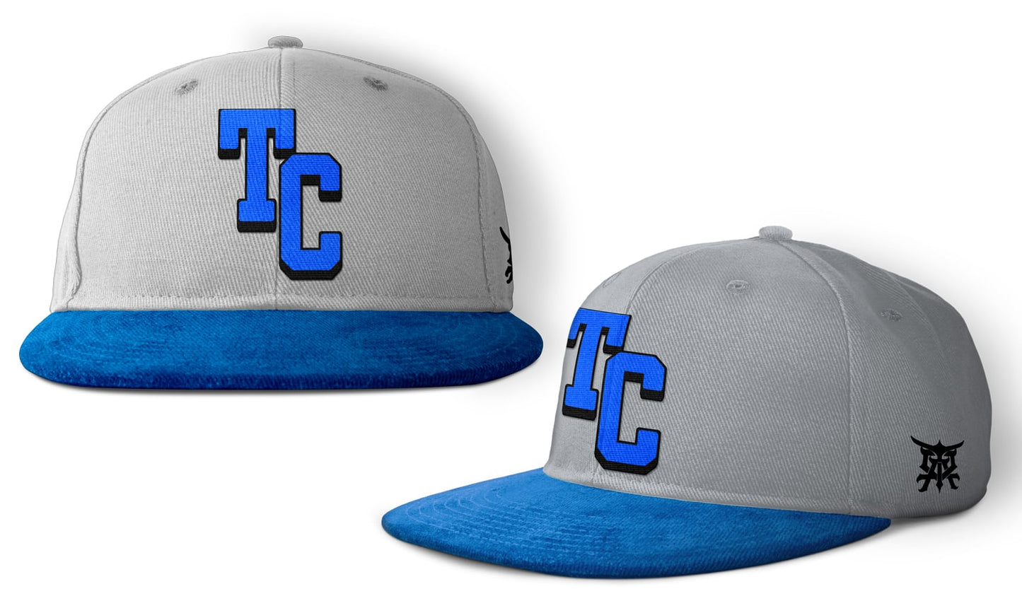 Titans - Snapbacks